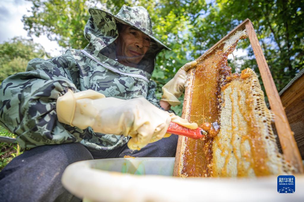 平博下注官网